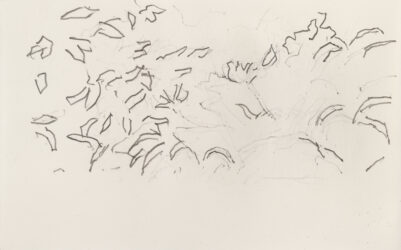 Thomas Newbolt, Drawing, Piano Nobile Gallery