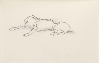 Thomas Newbolt, Drawing, Piano Nobile Gallery