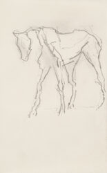 Thomas Newbolt, Drawing, Piano Nobile Gallery